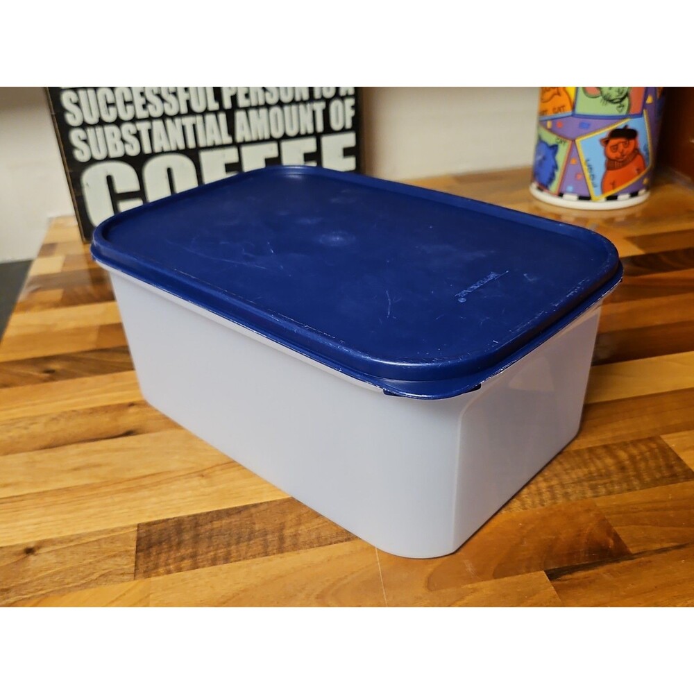 Tupperware Modular Mates #2 Container #1609 w/ Blue Lid #1610, 18 Cup, 4.3 Litre